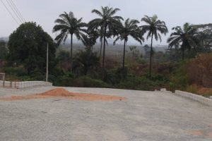 WhatsApp Image 2021-01-07 at 11.49.03